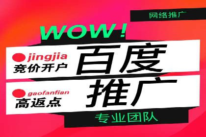 SEO百度推广策略：成功案例解析